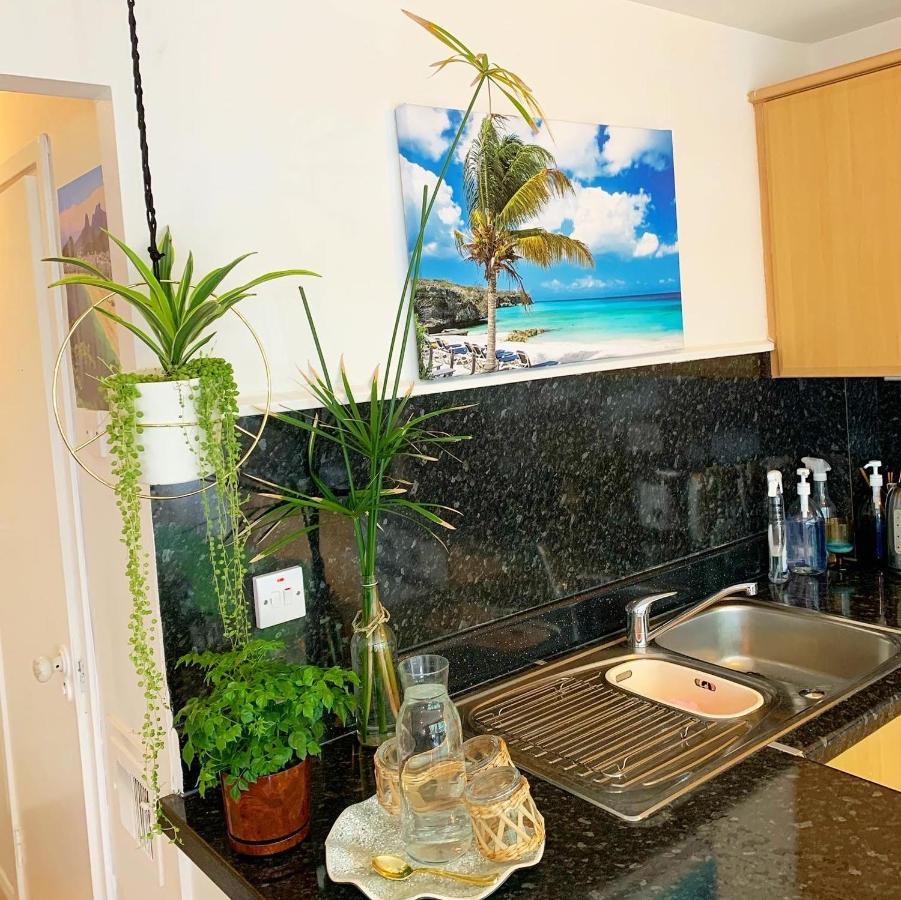 شقة لندن  في Garden Beautiful Cozy Flat , Recent Decorated. المظهر الخارجي الصورة