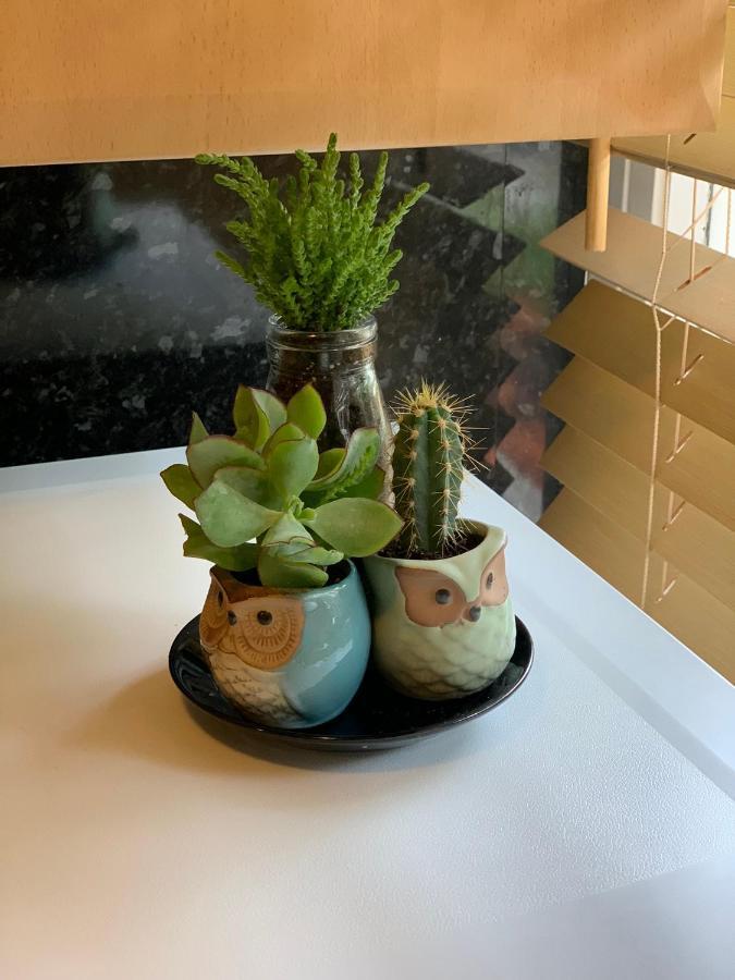 شقة لندن  في Garden Beautiful Cozy Flat , Recent Decorated. المظهر الخارجي الصورة